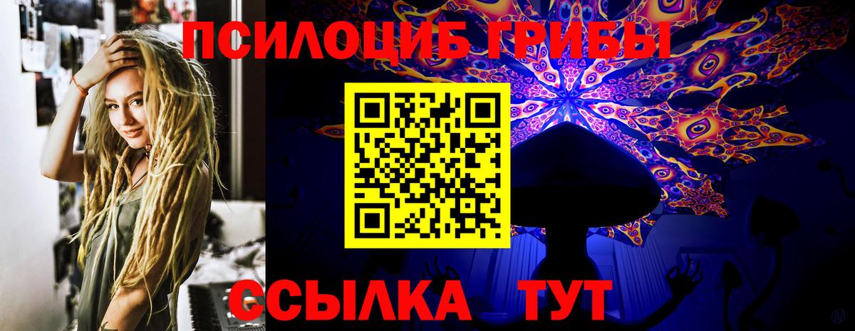 Новомосковск  Галлюциногенные грибы Psilocybine cubensis  Вход с VPN 